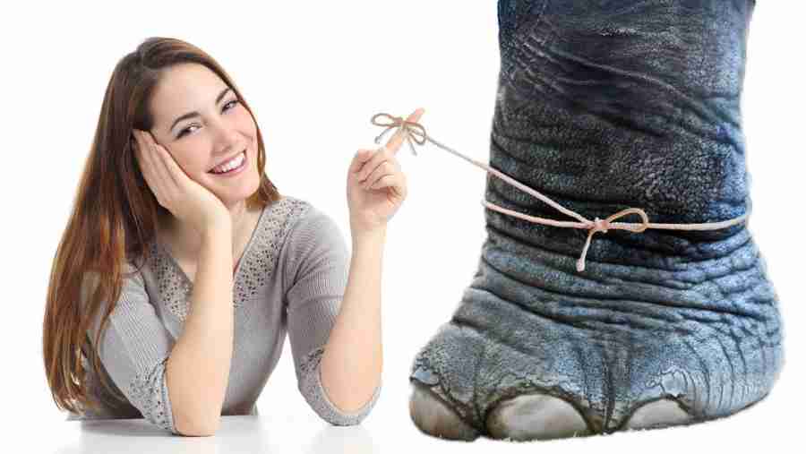 The elephant and the rope