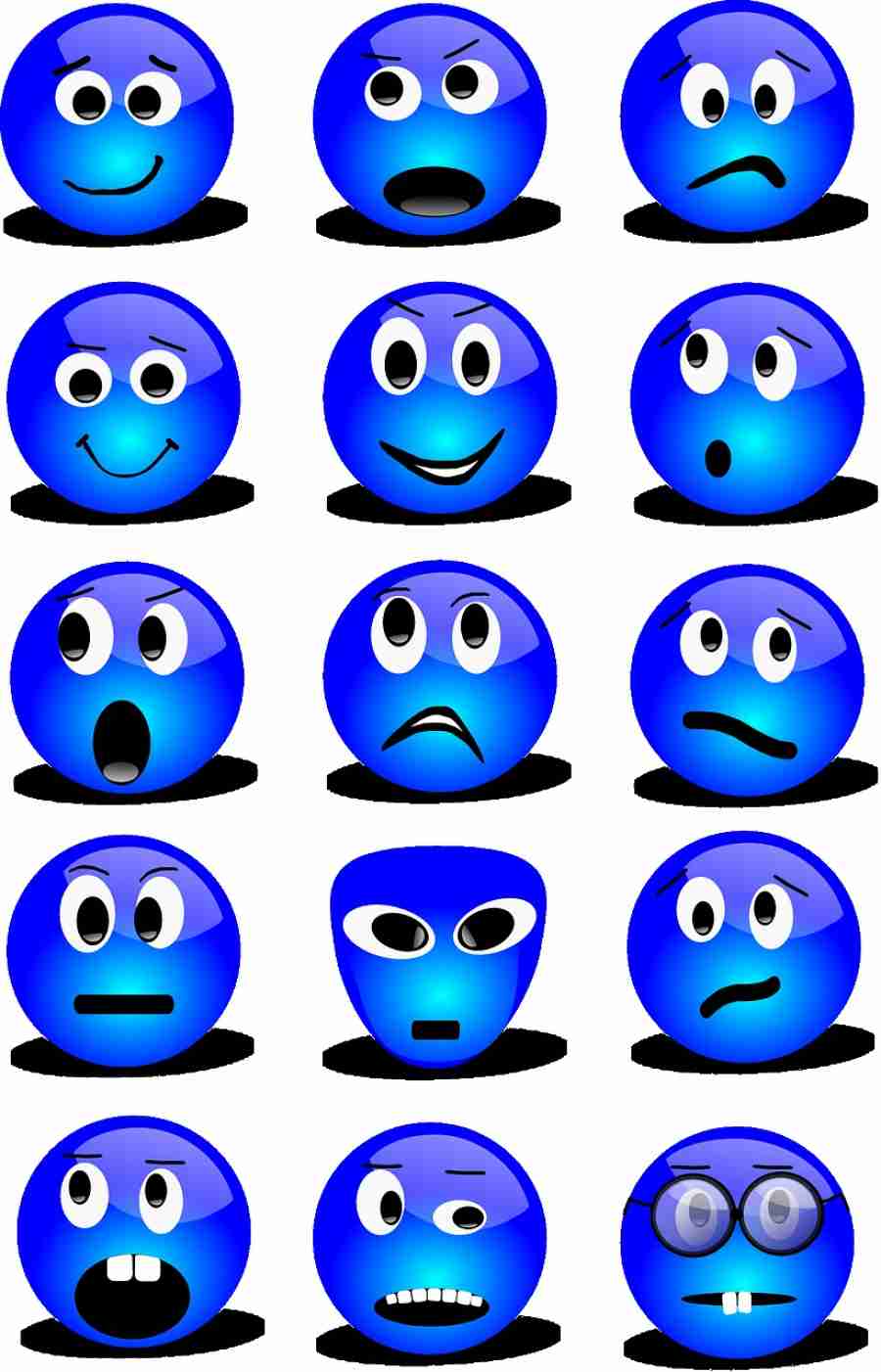 The formation of the inner ear and the education of feelings